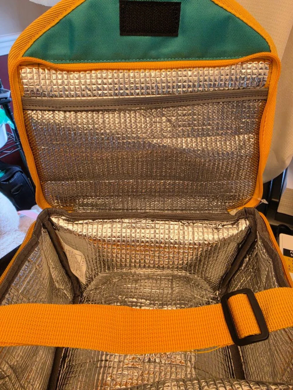Insulated Lunch bag, everyday living insulated lunch bag NWT 9x6x6